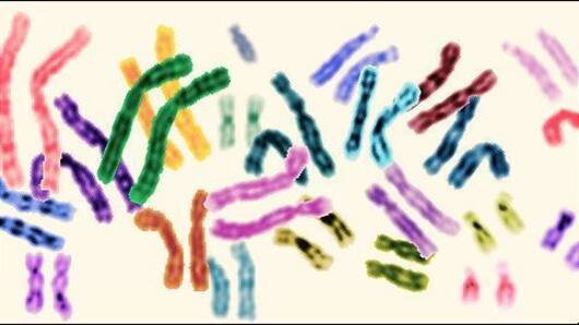 First Indian genome database