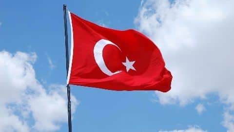 New PM wins support of Turkish parliament New PM wins support of Turkish parliament