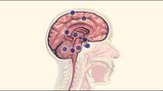 About 2,500 Indian children suffer from Medulloblastoma yearly