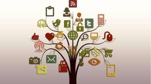 Mobile Internet Usage in India