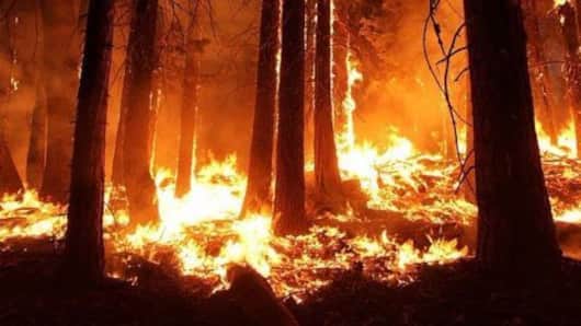 The deadly Los Angeles' Sand Fire