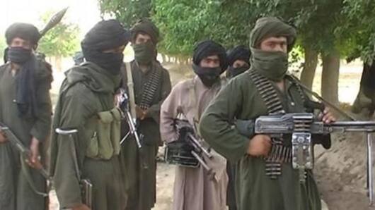 Taliban attacks Afghan security forces, killing 21