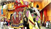 PETA moves court seeking ban on elephant 'joyrides' in Rajasthan