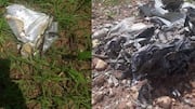 IAF pilot dies in MiG-21 crash in Himachal Pradesh