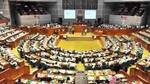'Ensure Digital Security Act is in accordance with Universal Declaration'