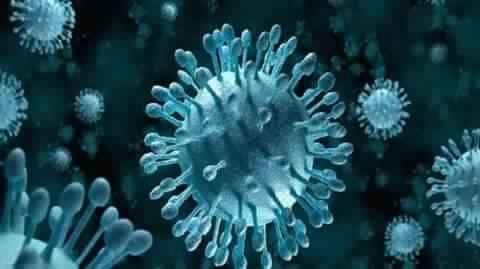 Nipah Virus: Goa govt to instruct doctors to stay vigilant Nipah Virus: Goa govt to instruct doctors to stay vigilant