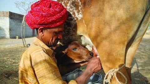 Maharashtra: Here's why dairy farmers' Rs. 225cr subsidy is pending Maharashtra: Here's why dairy farmers' Rs. 225cr subsidy is pending