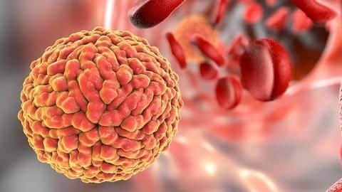 Rajasthan: Elderly woman tests positive for Zika virus, state's first Rajasthan: Elderly woman tests positive for Zika virus, state's first