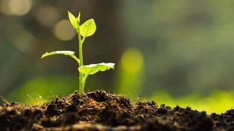 Bridegroom takes 1,001 saplings as 'dowry' in Odisha Bridegroom takes 1,001 saplings as 'dowry' in Odisha