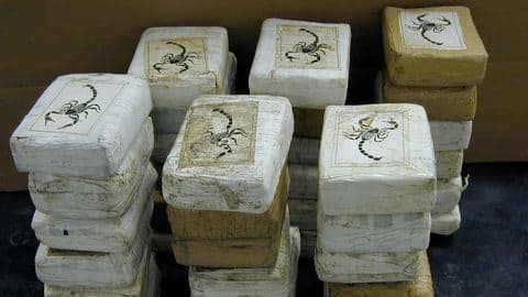 Bengaluru: Customs officials seize Rs. 6.5cr-worth sedative drug at airport Bengaluru: Customs officials seize Rs. 6.5cr-worth sedative drug at airport