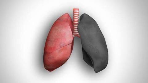 #KnowTheDisease: Everything you need to know about Tuberculosis #KnowTheDisease: Everything you need to know about Tuberculosis
