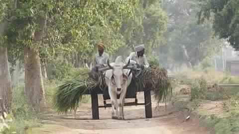 Center committed to doubling farmers' income by 2022: MoS Finance Center committed to doubling farmers' income by 2022: MoS Finance
