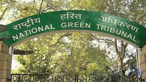 Hit by vacancies, NGT plans to hear cases using video-conferencing Hit by vacancies, NGT plans to hear cases using video-conferencing