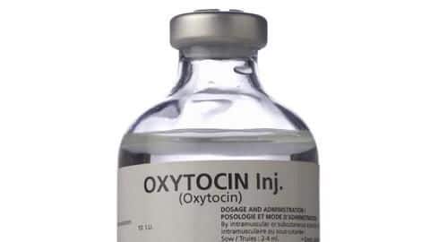 Private retailers to sell 'life-saving hormone' Oxytocin from September 1 Private retailers to sell 'life-saving hormone' Oxytocin from September 1