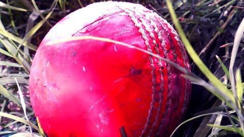 The Pink Ball to make a historic entry The Pink Ball to make a historic entry