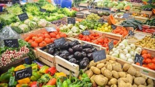 Maharashtra's changing agricultural landscape