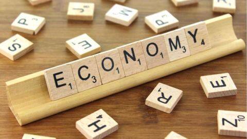 India's economy to grow 8%, agriculture 4% India's economy to grow 8%, agriculture 4%