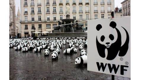 Living Planet Report says India an ecological 'black spot' Living Planet Report says India an ecological 'black spot'
