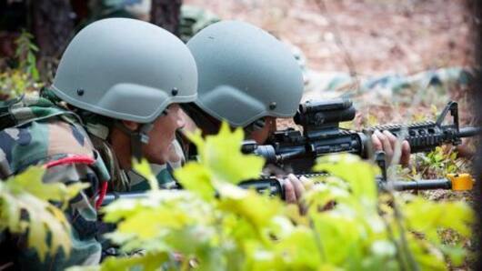 Ceasefire violations along the LoC