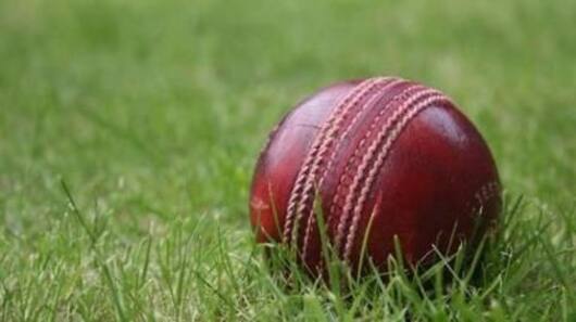 The different types of balls used in cricket