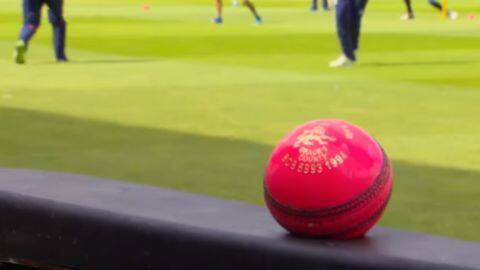 What are the differences between the pink and red ball? What are the differences between the pink and red ball?