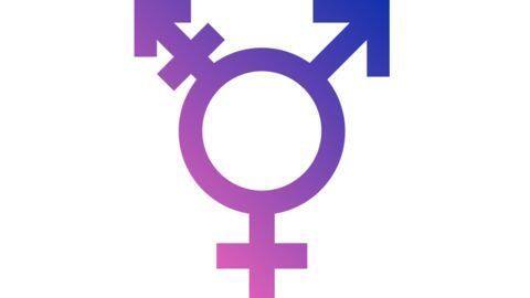 Union minister argues for transgender reservation in government jobs Union minister argues for transgender reservation in government jobs