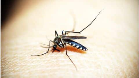 India needs $18 billion to eliminate malaria by 2030 India needs $18 billion to eliminate malaria by 2030