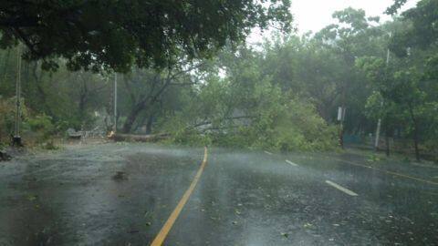 Cyclone Vardah kills 12, likely to weaken Cyclone Vardah kills 12, likely to weaken