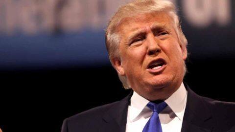 Trump, Tech CEOs break the ice at meeting Trump, Tech CEOs break the ice at meeting