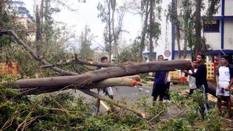 Cyclone Vardah leaves Chennai with health concerns Cyclone Vardah leaves Chennai with health concerns