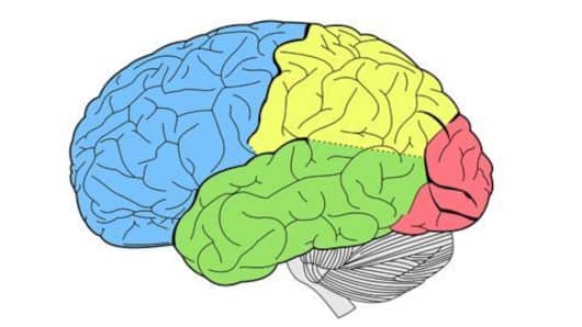 Neuroscience study which identifies potential criminals!