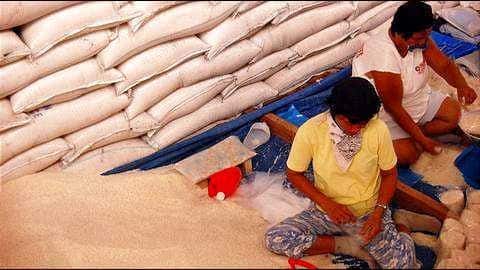 Grains for Brains: Thai university accepts rice as tuition fees Grains for Brains: Thai university accepts rice as tuition fees