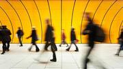 Earth could lose half its population by 2064, says study