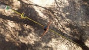 Slacklining: The fun balance workout that tests your focus