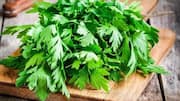 How to use fresh parsley in everyday cooking