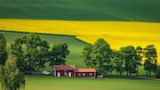 Sweden's countryside is a dream for nature lovers! 