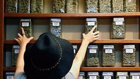 #Smokin'Italian: US thieves break into marijuana dispensary, steal oregano instead #Smokin'Italian: US thieves break into marijuana dispensary, steal oregano instead