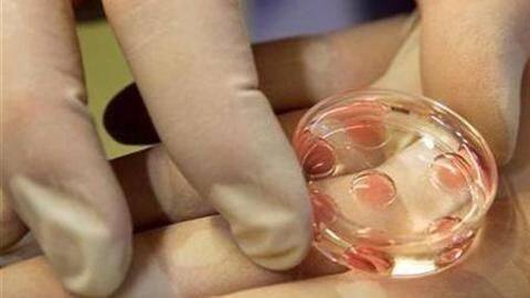 Delhi: Thieves are now stealing sperms from IVF centers Delhi: Thieves are now stealing sperms from IVF centers