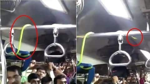 Mumbai: Vine snake rests around ceiling fan in Mumbai local Mumbai: Vine snake rests around ceiling fan in Mumbai local