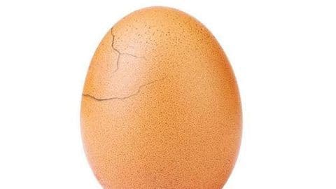 Instagram egg that defeated Kylie Jenner has started to crack Instagram egg that defeated Kylie Jenner has started to crack