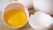 Congress alleges 'plastic eggs' being sold in Goa; demands action