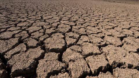 Maharashtra launches website, app 'Maha madat' to analyze drought situation Maharashtra launches website, app 'Maha madat' to analyze drought situation