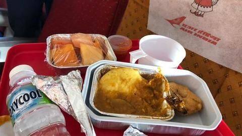 Passenger finds dead cockroach in food served, Air India apologizes Passenger finds dead cockroach in food served, Air India apologizes