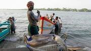 Sri Lankan Navy chases away 3,000 TN fishermen, snaps fishing-nets