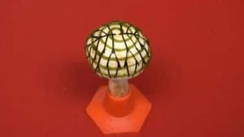Scientists create 'bionic mushrooms' that can produce green power Scientists create 'bionic mushrooms' that can produce green power