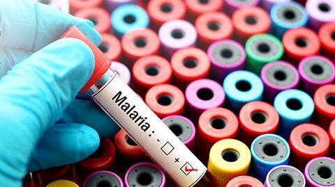 Delhi: 75 malaria, 43 dengue cases reported this season Delhi: 75 malaria, 43 dengue cases reported this season