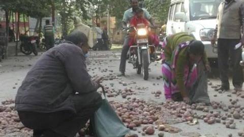 Potato farmers facing crisis due to plummeting MSP Potato farmers facing crisis due to plummeting MSP