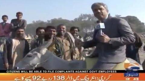 Pakistani reporter rides on donkey while reporting on 'donkey business' Pakistani reporter rides on donkey while reporting on 'donkey business'