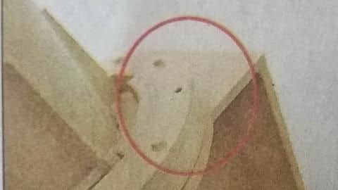 Delhi: People stealing nuts, bolts from Signature Bridge Delhi: People stealing nuts, bolts from Signature Bridge