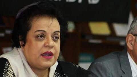 Trump's anti-Pakistan comments, lesson for leaders appeasing US: Pak Minister Trump's anti-Pakistan comments, lesson for leaders appeasing US: Pak Minister